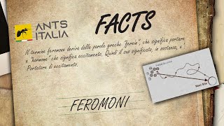 I Feromoni La Comunicazione Segreta delle Formiche [upl. by Gaskins332]