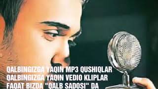 ShohruhxonBu turfa gullar newversion mp3 [upl. by Allerym]