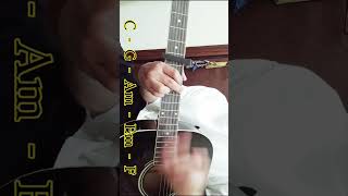 Learn To Meow  Xiao Feng Feng  Guitar Chords guitar reels shortsviral [upl. by Wyck]