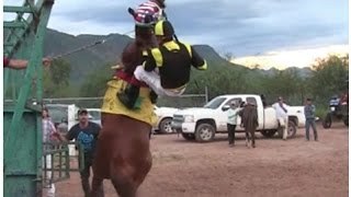 Carreras de Caballos en HuasabasSon 13 de Agosto 2016 [upl. by Eilrahs]