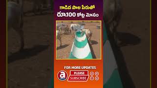 గాడిద పాల పేరుతో రూ100 కోట్ల మోసం  Donkey Milk Scam  Donkey Palace Companys 100 Crore Scam [upl. by Eirdua]