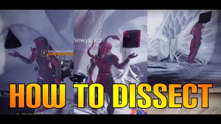 Destiny 2 How to Dissect on 4th encounter Salvations Edge [upl. by Zephan]