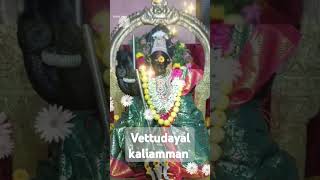 Needhi tharum vettudayal kaliamman ammansongsdevotionaltamil devotionalsongs ammandevotional [upl. by Rabiah985]