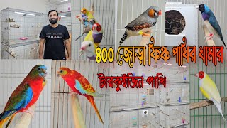 ৪০০ জোড়া ফিঞ্চ পাখির খামার  400 Pair finch Birds farm in Bangladesh [upl. by Lienet]