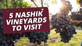 5 Nashik Vineyards To Visit [upl. by Ahsetan764]