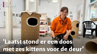 Dierenasiels zitten zo vol dat ze geen nieuwe katten meer toelaten  RTV Utrecht [upl. by Godard281]