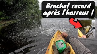 PREMIER BROCHET RECORD SUR CETTE RIVIÈRE APRÈS AVOIR VU LHORREUR [upl. by Salter]