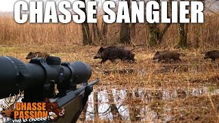 Chasse sanglier  Grandes Battues 2014 [upl. by Hacceber732]