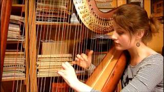 Everybody Wants To Be A Cat  The Aristocats Harp Cover [upl. by Enelehcim428]