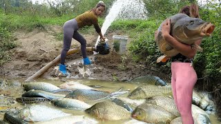 Top Greatest Fishing Videos Fishing Catching Fish In The Wild Catching A Lot Of Big Fish [upl. by Calise]