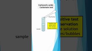 How to identify Carboxylic Acids  The Carbonate Test chemistryrevision organicchemistry study [upl. by Nirb653]