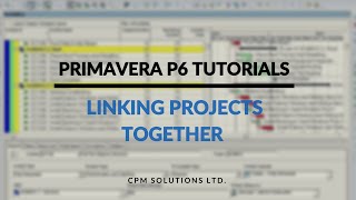 Primavera P6 Tutorial 5  Linking Projects Together [upl. by Remoh157]