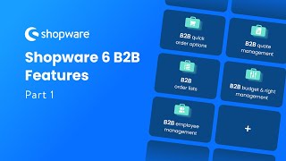 Shopware 6 B2B Features Part 1 [upl. by Ahsyak]