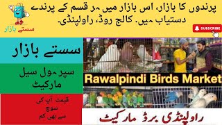 Birds Market College Road Rawalpindi [upl. by Ruskin578]