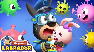 🔍Sheriff Labrador  Enfrentamiento Contra Virus 😷  Videos para Niños  BabyBus en Español [upl. by Muhcon434]