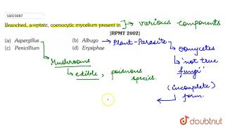 Brached aseptatecoenocytic mucelium present in  11  FUNGI  BIOLOGY  ERRORLESS  Doubtnut [upl. by Amilas452]