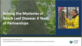 Solving the Mysteries of Beech Leaf Disease 6 Years of Partnerships [upl. by Werner549]