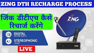 ZING DTH RECHARGE PROCESS  HINDI [upl. by Nnylodnewg737]