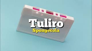 Spongecola  Tuliro Karaoke [upl. by Mcnair443]