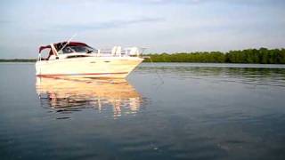 Sea Ray 300 Sundancer At Anchor [upl. by Asserat]