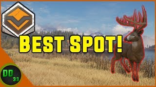 Best Spot for DIAMOND WHITETAIL Call of the Wild 2019 [upl. by Aket245]