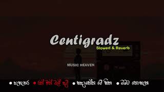 Centigradz Old Vibes Best Songs Collection Slowed  Reverb centigradz old vibes viral [upl. by Wyatan]