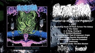 Universally Estranged  Reared Up In Spectral Predation Full Album TX Death Metal 2021 [upl. by Farleigh]