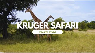 VLOG 02  KRUGER PARK SAFARI [upl. by Gilud]