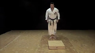 Kusanku No Sai Kata of IsshinRyu Kobudo Michael Calandra [upl. by Aitnahs]