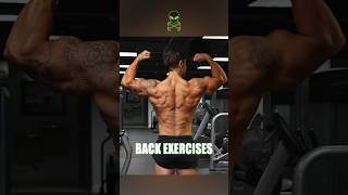 17 Back Exercises for Gains 💪🏻👽 [upl. by Odawa]