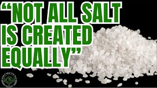 🧂SALT amp MINERAL EXPERT “NOT ALL SALT IS CREATED EQUALLY” 🎙️MICHAEL SILECK SWTT 237 [upl. by Sinnoda]