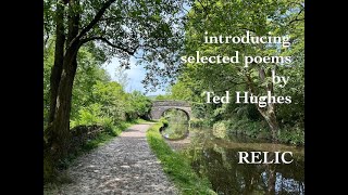 Relic by Ted Hughes  an introduction [upl. by Romeon]