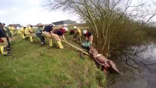 Shropshire Firefighters Large Animal Rescue Training [upl. by Lewiss]