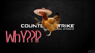 WHY CHICKENS IN CSGO MYTHBUSTERS [upl. by Ahsiakal]