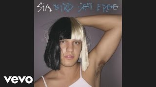 Sia  Bird Set Free Audio [upl. by Air]