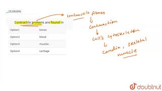 Contractile proteins are found in [upl. by Francklin992]