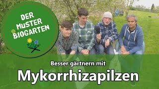 Wie Mykorrhiza Pilze im Garten Ihre Ernte verbessern können [upl. by Ahron]