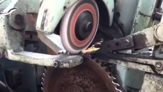 Circular Saw Blade Sharpening and ReShaping on an Interwood CanaE [upl. by Boys]