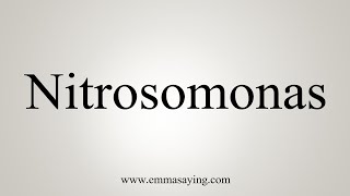 How To Say Nitrosomonas [upl. by Asi516]