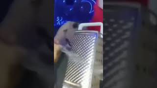 SpiderMan cheese grater asmr [upl. by Sharia]