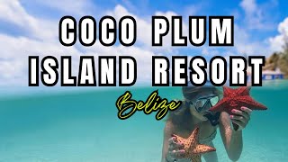 Coco Plum All Inclusive Resort Dangriga Belize [upl. by Donalt]