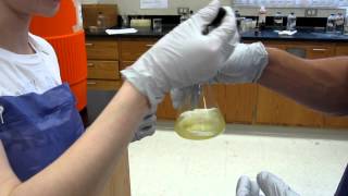 Lab Demo  Preparation of Antacid A Titration Mixture 009 [upl. by Cleodel]