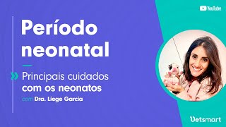 Principais cuidados com os neonatos  Período neonatal [upl. by Ellednek]