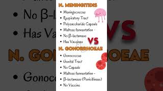 Neisseria Meningitidis Vs Neisseria Gonorrhoeae 🔬 gonorrhea meningitis bacteriology [upl. by Acinnej285]