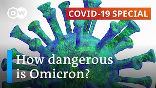 Omicron Scientists race to work out how dangerous the variant is  COVID19 Special [upl. by Ecnerrat680]