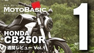 CB250R ホンダ2018 バイク1週間インプレ・レビュー Vol1 HONDA CB250R 2018 1WEEK REVIEW [upl. by Volney659]