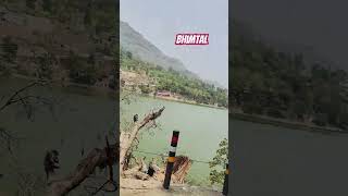 Fasale Our Kam Ho Rahe Hain bhimtal hindisong jaduterinazar ytshortsvideo trevel viralshorts [upl. by Oiralih628]