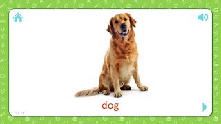 Dog  Pets and Farm Animals  Flashcards for Kids [upl. by Yrrat]