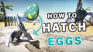 How to Hatch Eggs ► Ark Survival Evolved [upl. by Eillit]