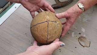 Breaking open Grandmas sandstone rock from 45 years ago FOSSIL INSIDE [upl. by Centonze550]